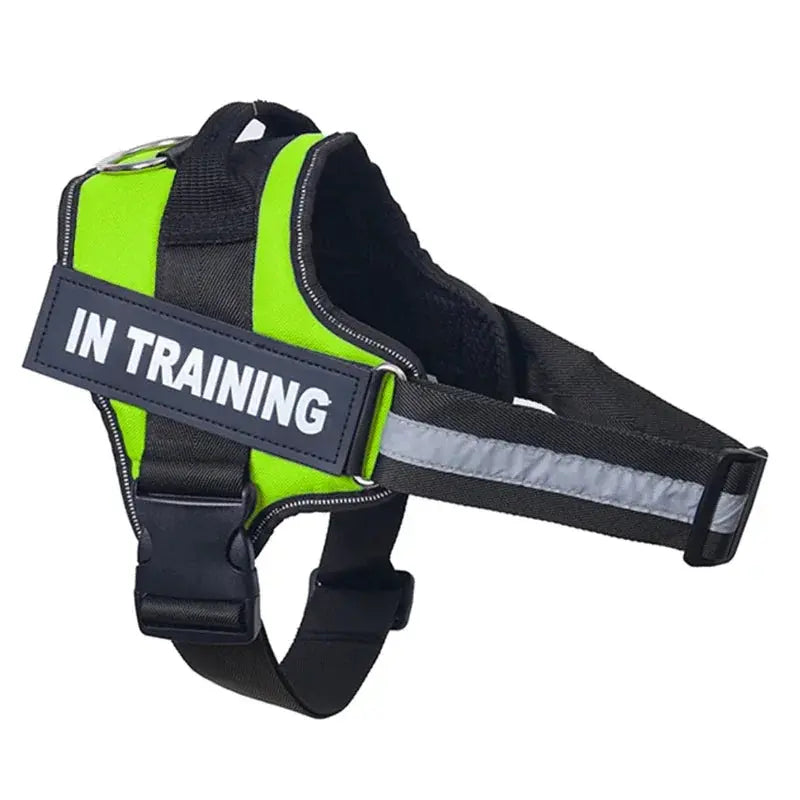 Personalized Reflective and Adjustable Dog Harness Excel Pets