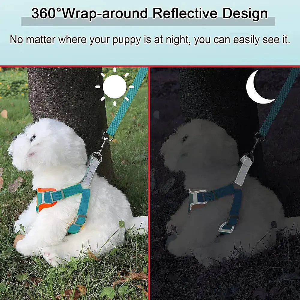 Step-in Dog Harness and Leash Set Excel Pets