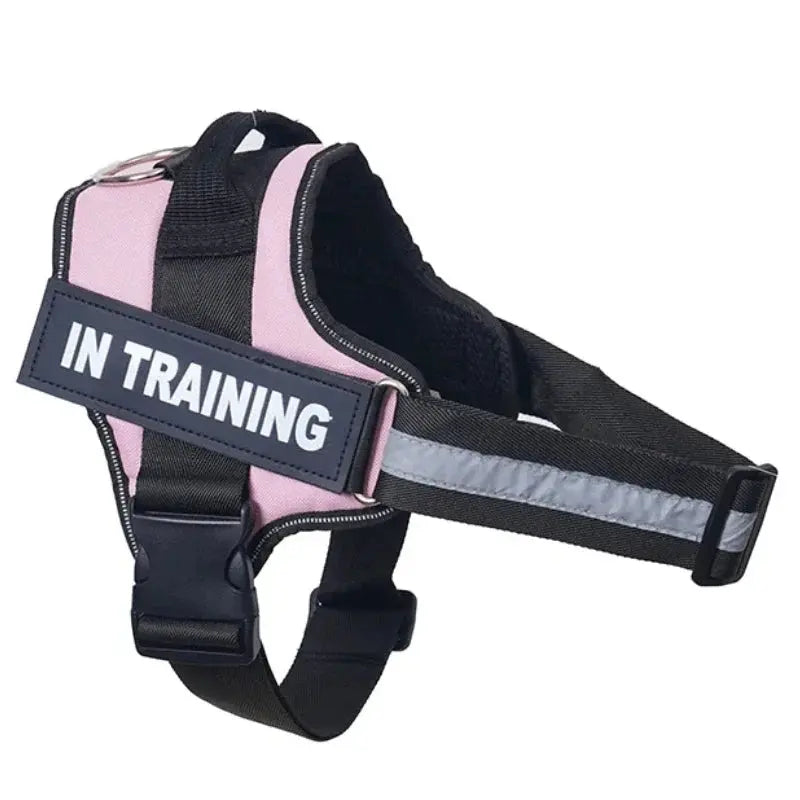 Personalized Reflective and Adjustable Dog Harness Excel Pets