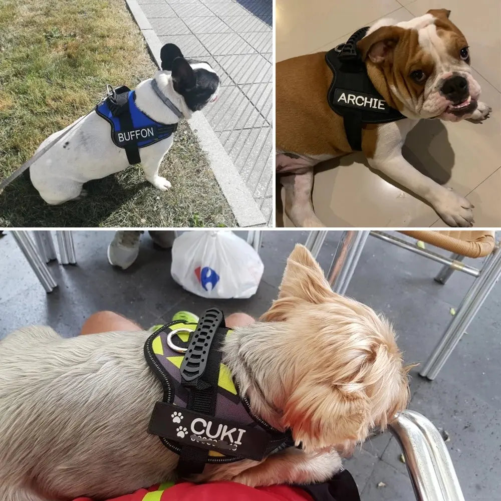 Adjustable Nylon Dog Harness Excel Pets
