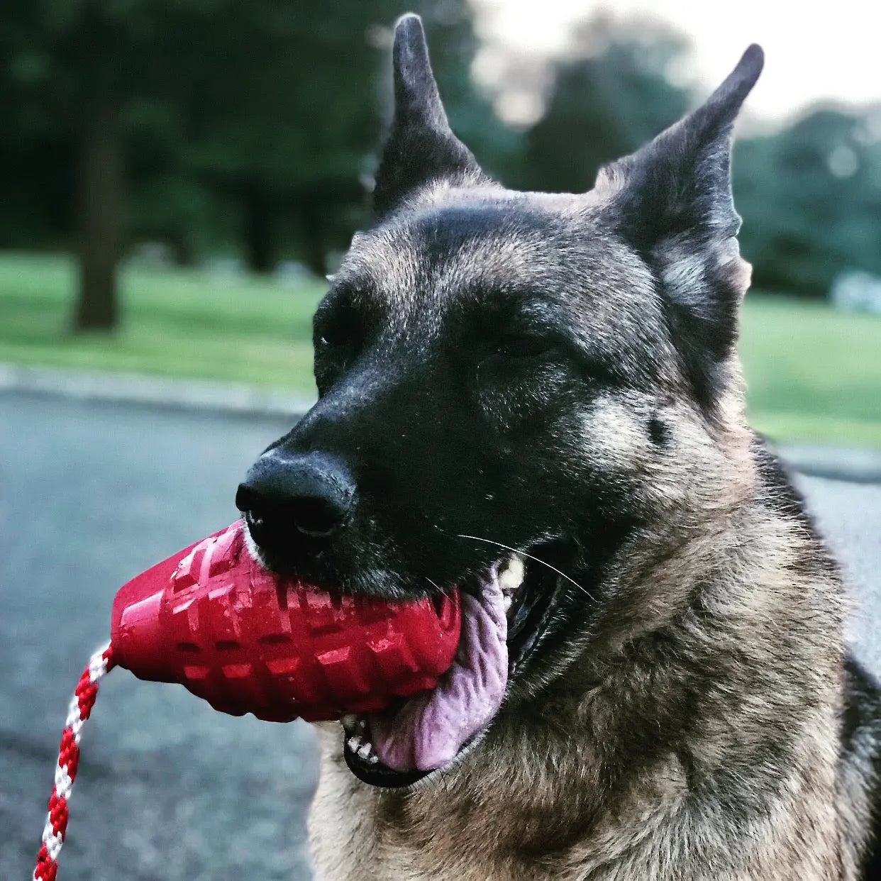 USA-K9 Grenade Shaped Rubber Dog Toy - Chew, Treat Dispenser & Tug Toy | USA SodaPup/True Dogs, LLC