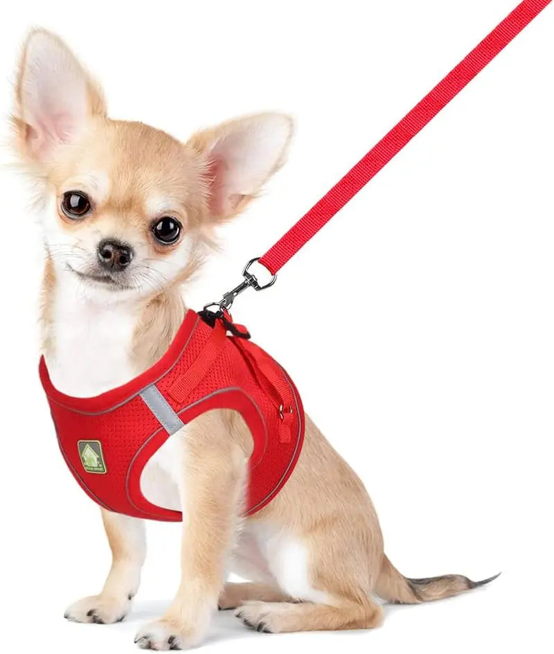 Explore the Outdoors with the FEimaX No Pull Adjustable Dog Harness and Leash Set - Breathable, Reflective, and Perfect for Small to Medium Pet Adventures! FEimaX