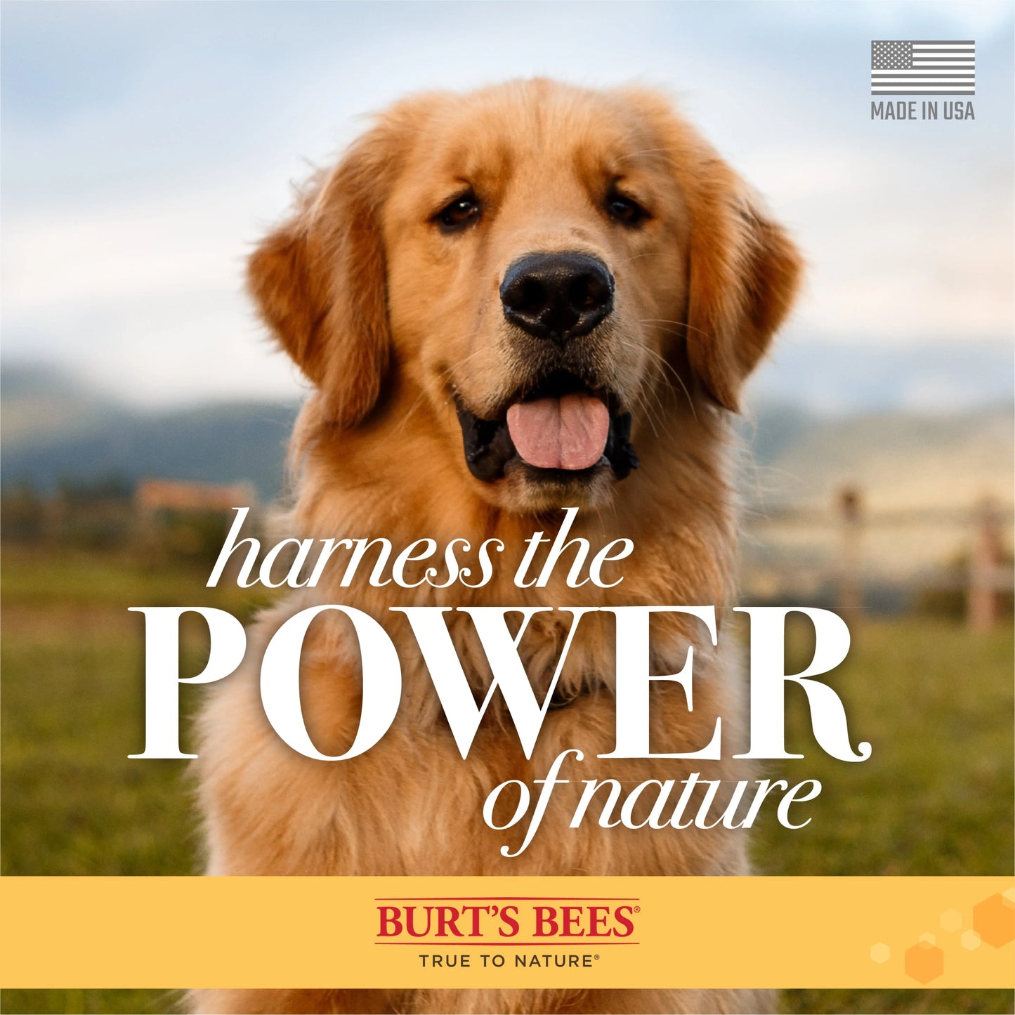 Natural Hypoallergenic Shampoo Shea and Butter Honey for Dogs and Puppies Excel Pets