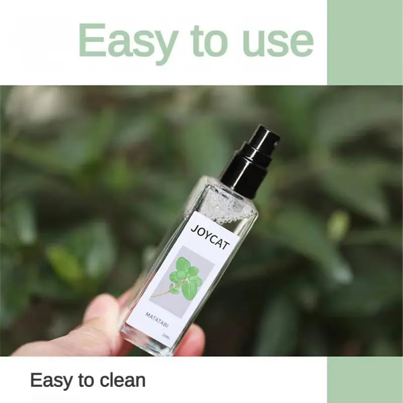 Catnip Bliss Spray – Natural Mood Booster for Happy, Relaxed Cats Excel Pets