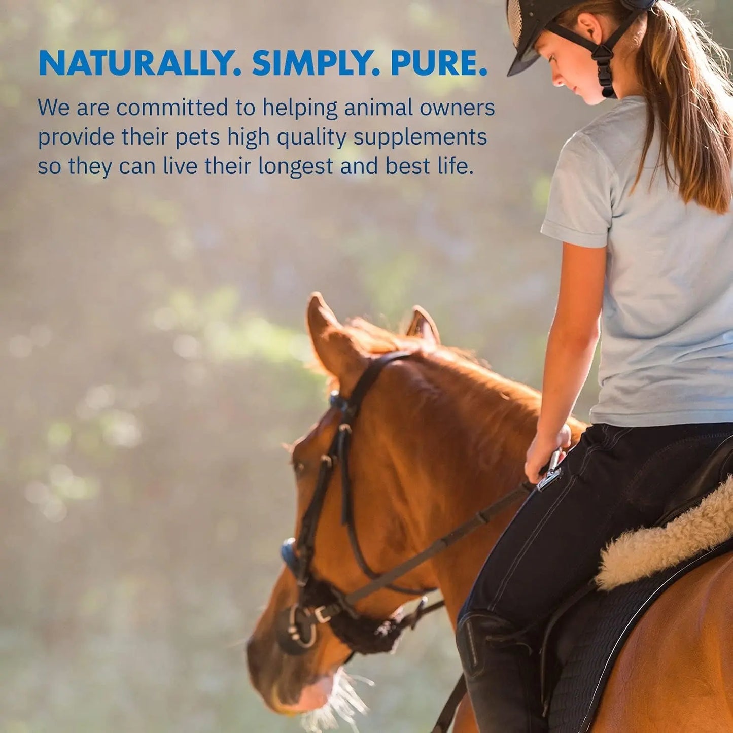Healthygut™ Probiotics for Horses - All-Natural Dietary Supplement for Enhanced Digestive Performance (90-Day Supply) Equa Holistics LLC.