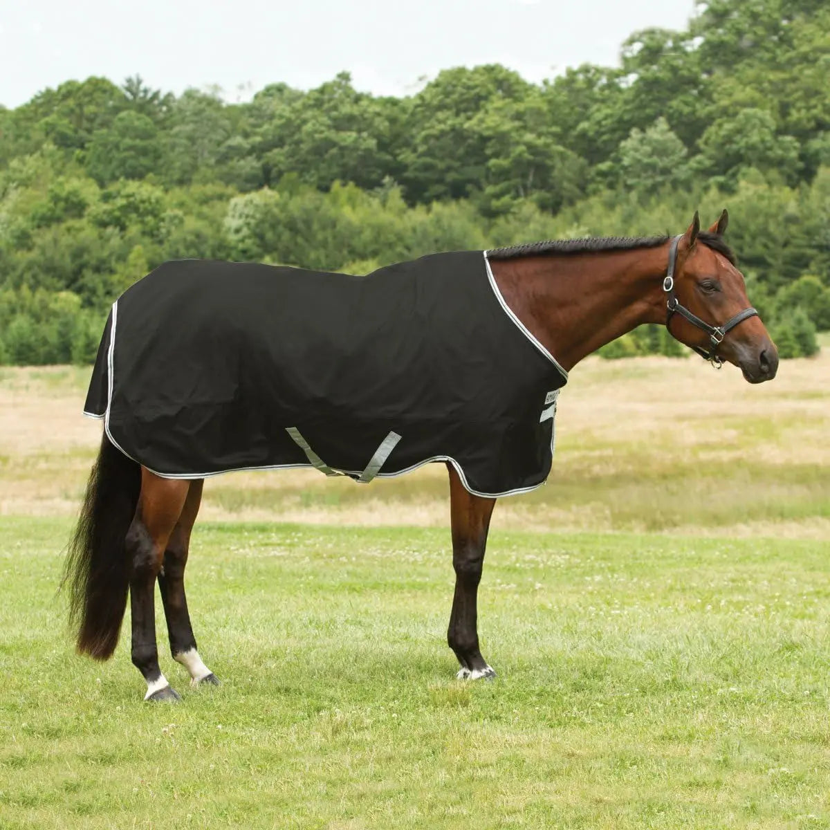 Horseware Ireland Amigo Stock Horse T/O Lite Blanket in Black/Silver - Size 82, Waterproof and Breathable Design for Optimal Comfort HORSEWARE PRODUCTS, LTD