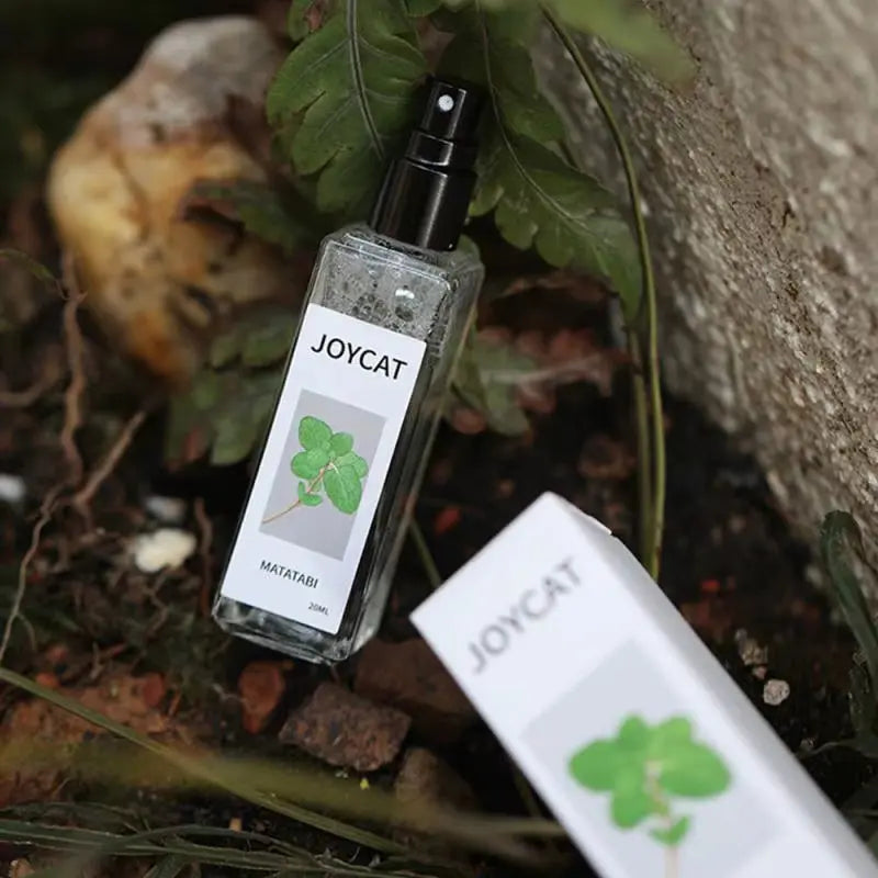 Natural JOYCAT Catnip Bliss Spray bottle with green leaf illustration on outdoor ground background