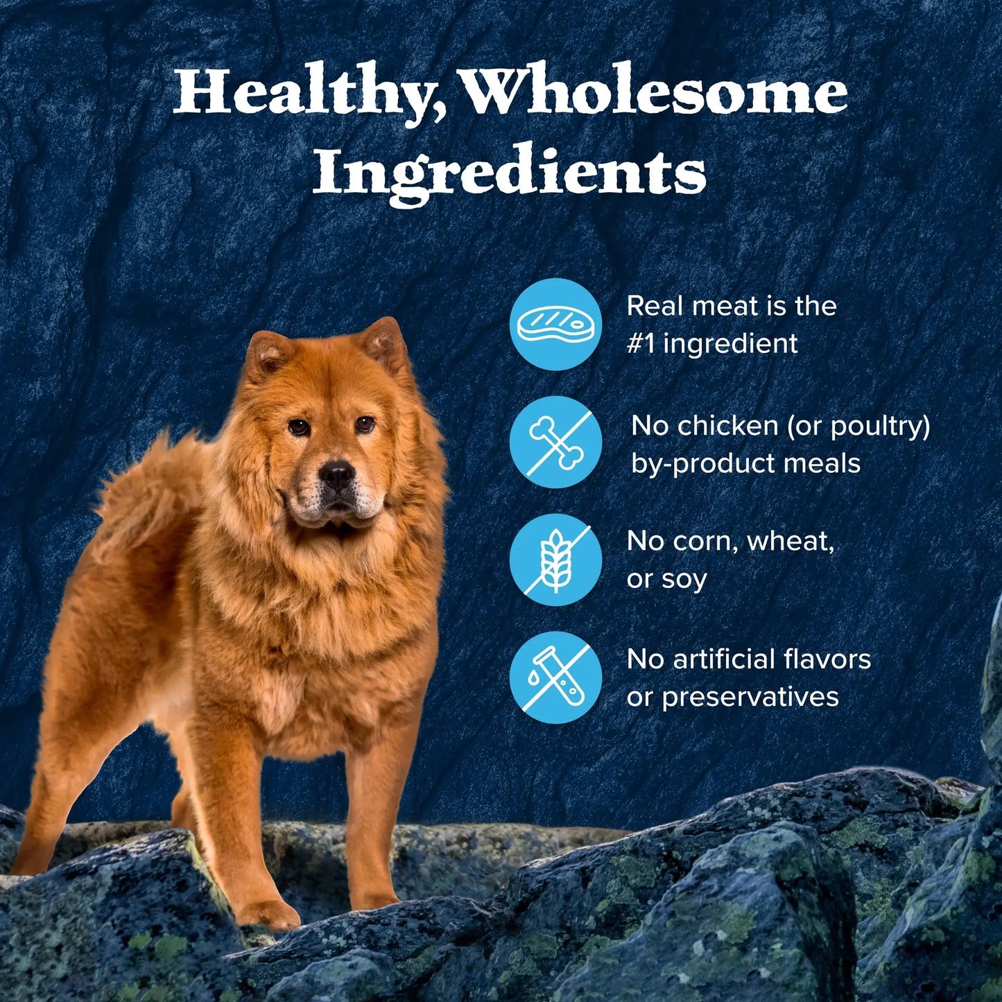 (4 Pack) Blue Buffalo Wilderness Wild Cuts Wet Dog Food Toppers, Chicken & Beef, 3-Oz. (12 Count) Blue Buffalo