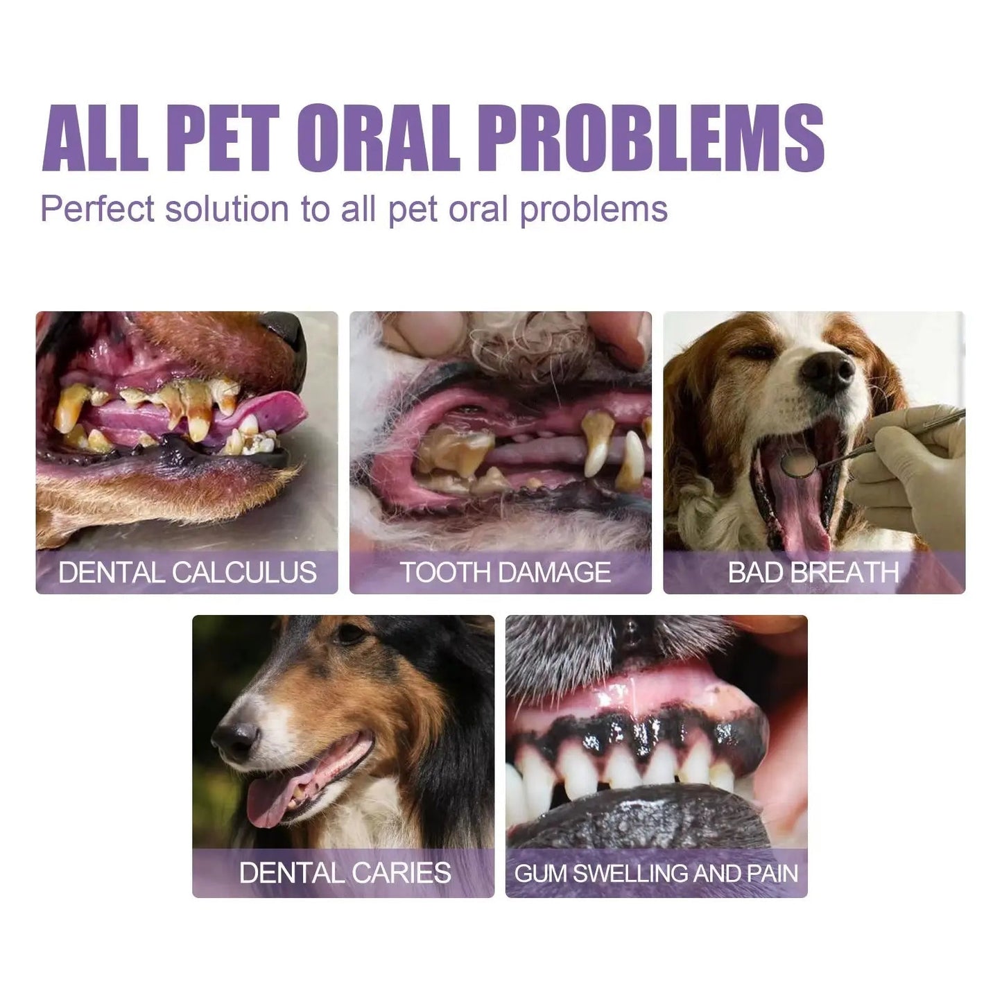 Collage showing severe pet oral problems including dental calculus, tooth damage, bad breath, dental caries, and gum swelling and pain in dogs.
