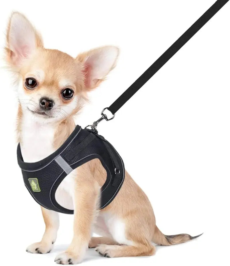 Explore the Outdoors with the FEimaX No Pull Adjustable Dog Harness and Leash Set - Breathable, Reflective, and Perfect for Small to Medium Pet Adventures! FEimaX