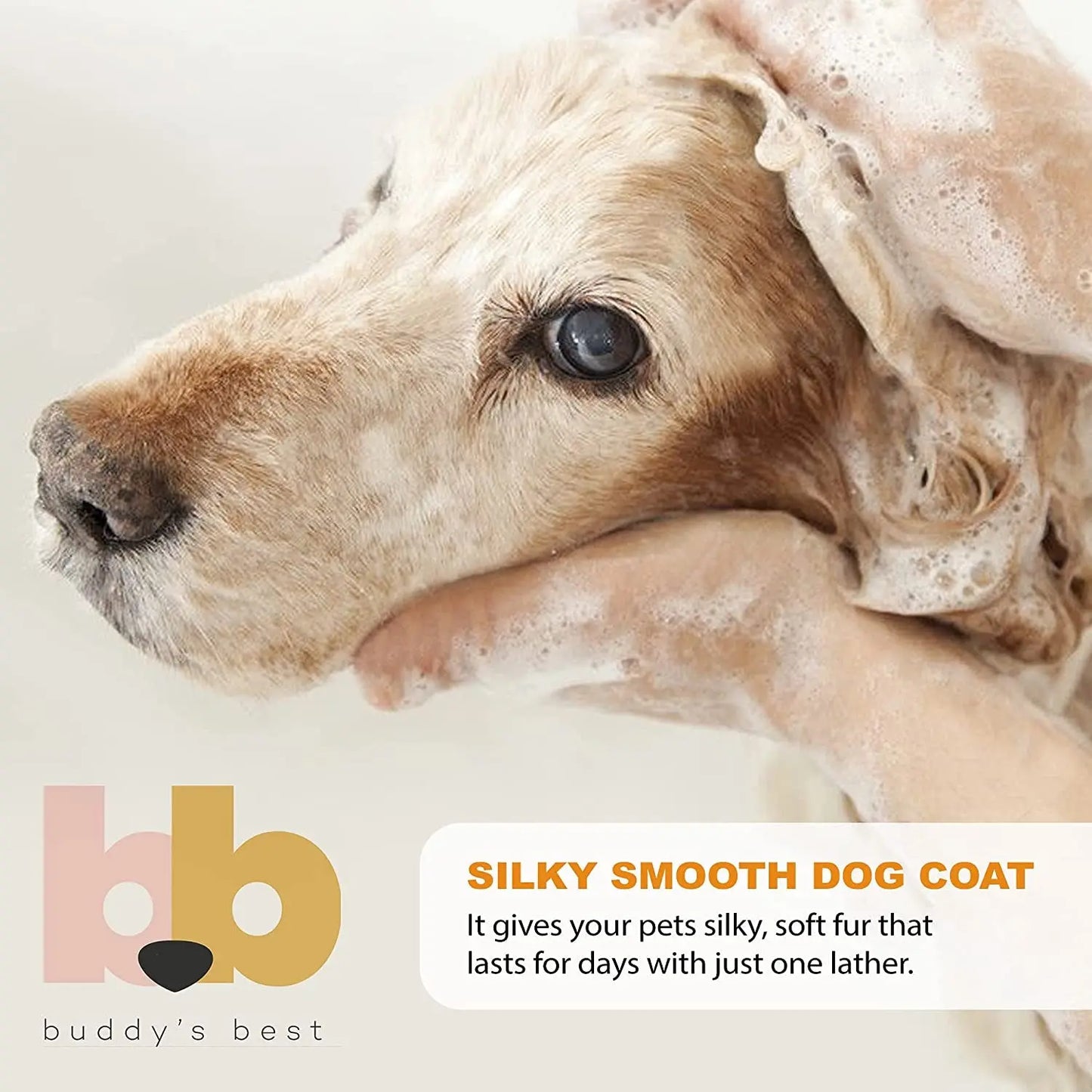Transform Bath Time with Buddy's Best Dog Shampoo & Conditioner - Oatmeal Formula for Nourishing Sensitive Skin, Coconut Vanilla Scent, 32oz Buddy's Best