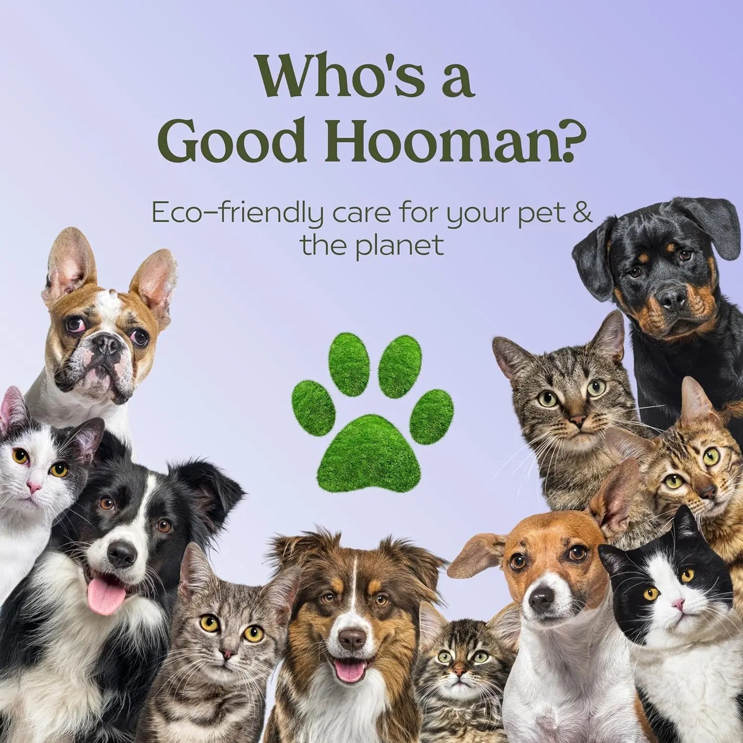 Excel Pets Pawfume Detangler Dog Grooming Spray Leave In Conditioner Fragrance Alcohol Free With Botanical Extracts Probiotics - Animals & Pet Supplies > Pet Supplies > Pet Grooming Supplies > Pet Fragrances & Deodorizing Sprays > Deodorizer Sprays Dog