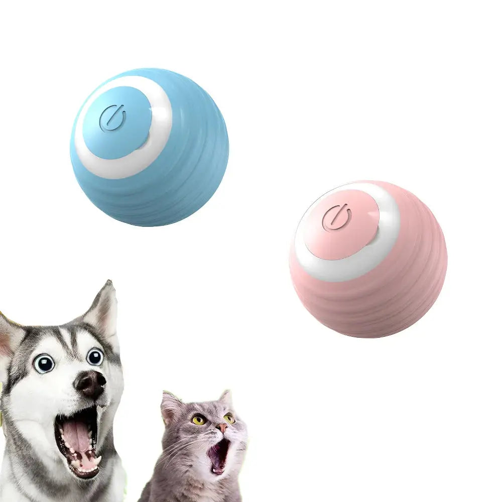 Interactive Smart Ball for Indoor Play Excel Pets