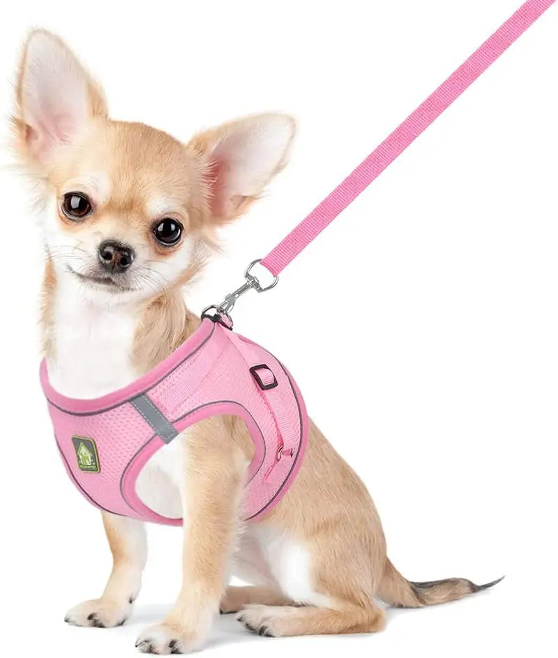 Explore the Outdoors with the FEimaX No Pull Adjustable Dog Harness and Leash Set - Breathable, Reflective, and Perfect for Small to Medium Pet Adventures! FEimaX