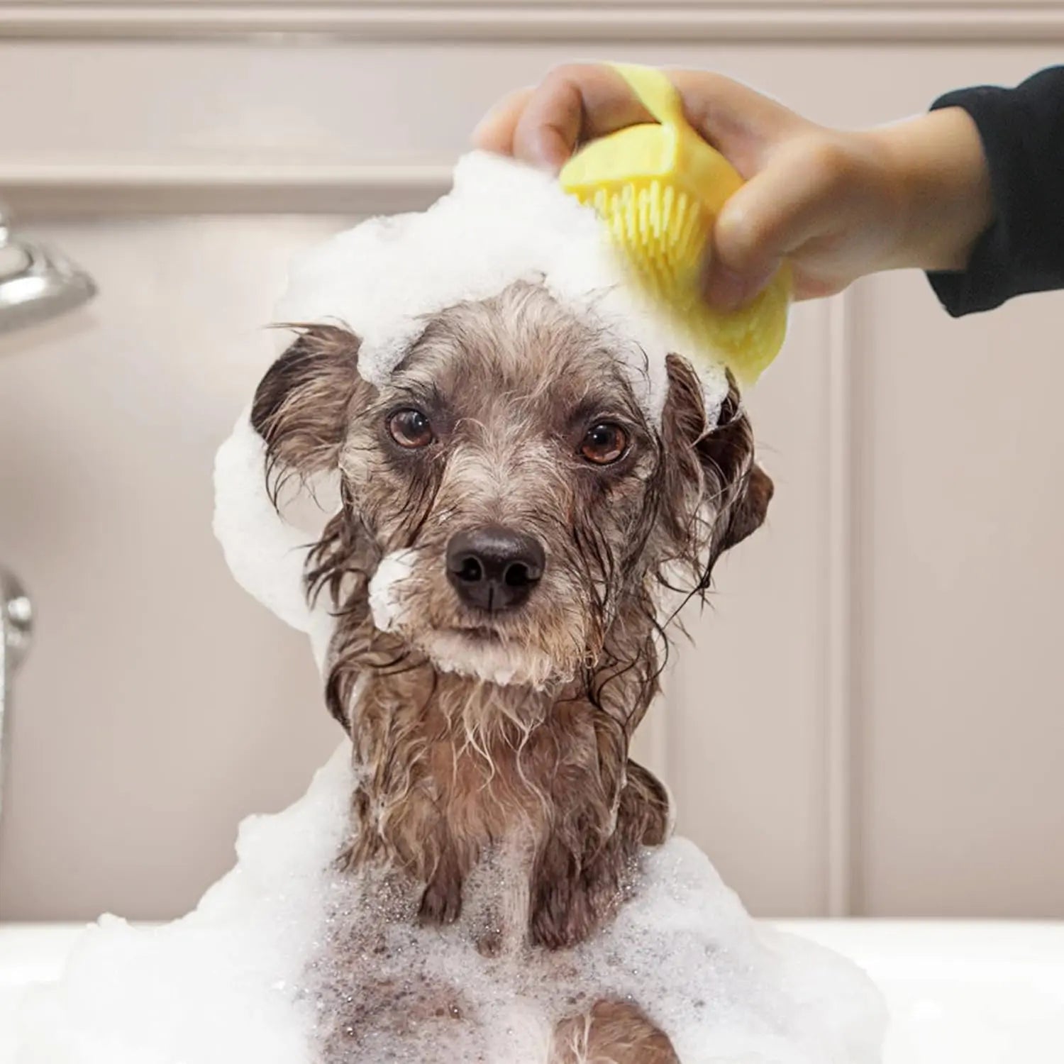 Pet-Grooming-Hygiene-Products Excel Pets