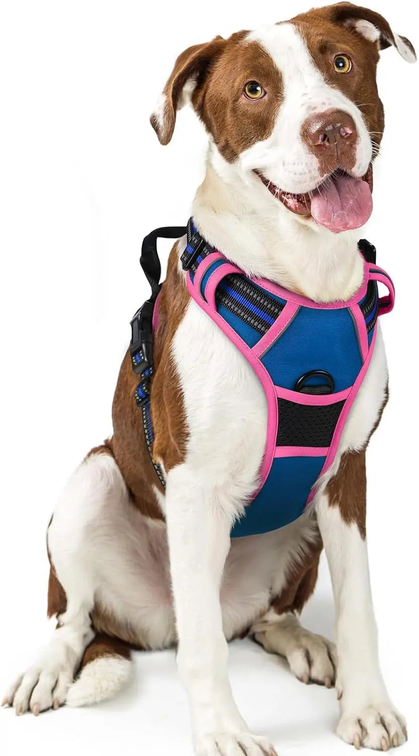 GLOBEGOU CO.,LTD Rabbitgoo Large Dog Harness No Pull Adjustable Soft Padded Vest Reflective Oxford Material Red Plaid Dual Leash Clips - Animals & Pet Supplies > Pet Supplies > Pet Collars & Harnesses Dog