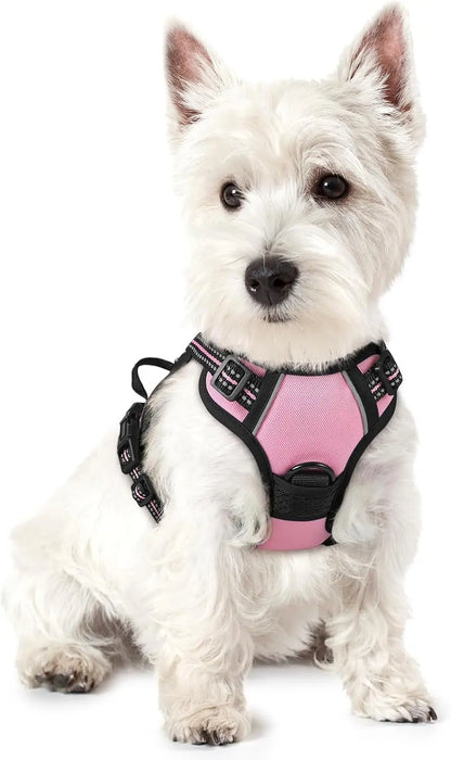Rabbitgoo Dog Harness No Pull with 2 Leash Clips GLOBEGOU CO.,LTD