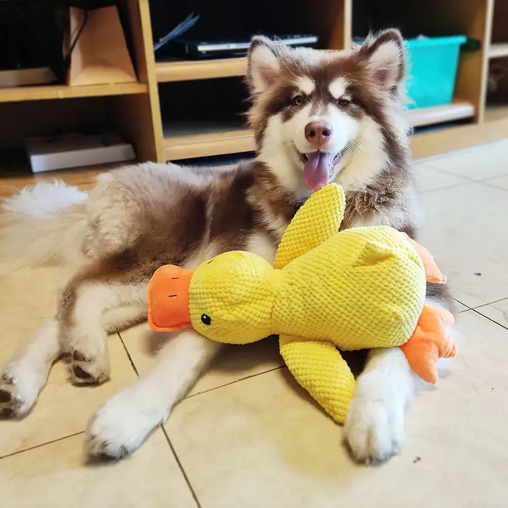 ChewPal CuddleBuddy – Plush Squeaky Toy for Happy, Healthy Pets Excel Pets