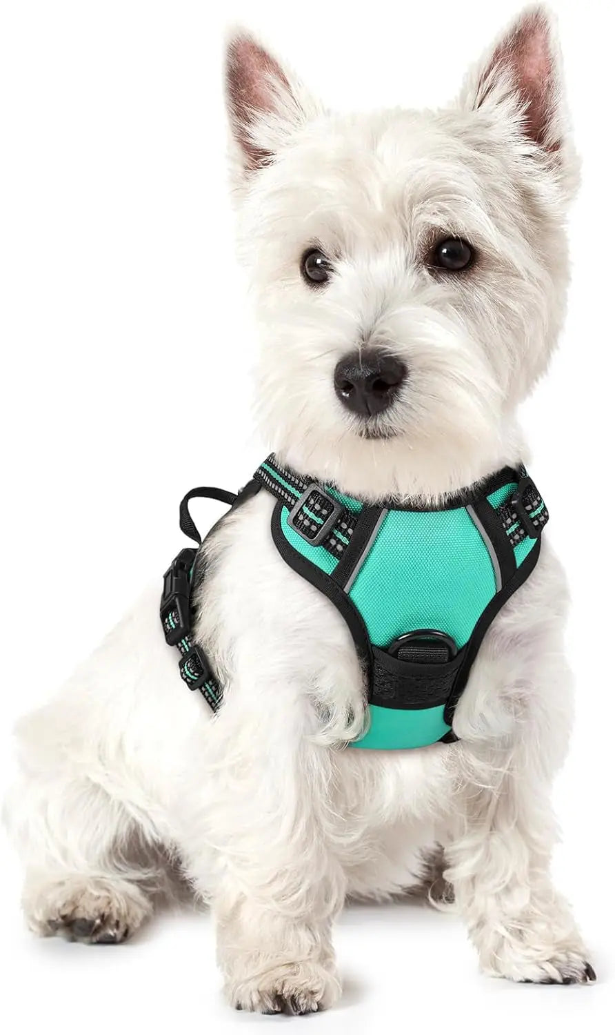 GLOBEGOU CO.,LTD Rabbitgoo Large Dog Harness No Pull Adjustable Soft Padded Vest Reflective Oxford Material Red Plaid Dual Leash Clips - Animals & Pet Supplies > Pet Supplies > Pet Collars & Harnesses Dog