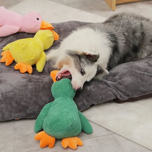 Dog chewing on a green plush duck ChewPal CuddleBuddy squeaky toy on a gray bed with other colorful plush toys nearby