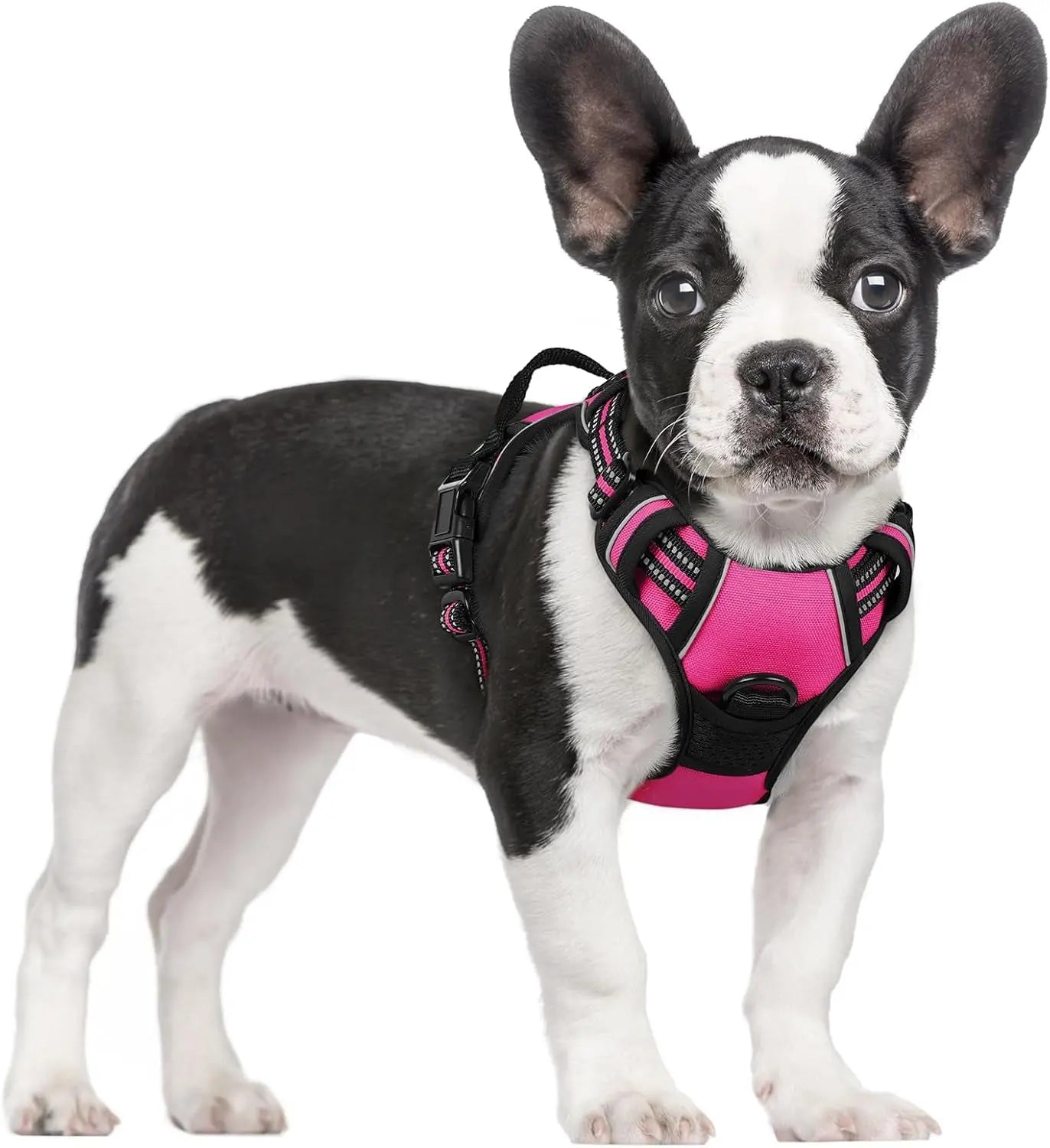 GLOBEGOU CO.,LTD Rabbitgoo Large Dog Harness No Pull Adjustable Soft Padded Vest Reflective Oxford Material Red Plaid Dual Leash Clips - Animals & Pet Supplies > Pet Supplies > Pet Collars & Harnesses Dog