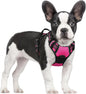 GLOBEGOU CO.,LTD Rabbitgoo Large Dog Harness No Pull Adjustable Soft Padded Vest Reflective Oxford Material Red Plaid Dual Leash Clips - Animals & Pet Supplies > Pet Supplies > Pet Collars & Harnesses Dog