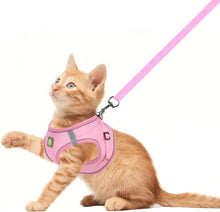 FEimaX FEimaX No Pull Adjustable Dog Harness and Leash Set for Small Dogs and Cats with 1.5 Meter Leash - Animals & Pet Supplies > Pet Supplies > Pet Collars & Harnesses > Harnesses Dog