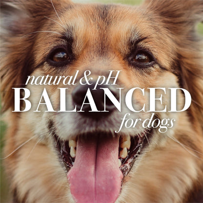 Excel Pets Burt's Bees Natural Hypoallergenic Shea and Honey Dog Shampoo For Sensitive Skin Puppies Tearless - Animals & Pet Supplies > Pet Supplies > Pet Grooming Supplies > Pet Shampoo & Conditioner > Shampoos Dog