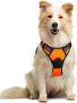 GLOBEGOU CO.,LTD Rabbitgoo Large Dog Harness No Pull Adjustable Soft Padded Vest Reflective Oxford Material Red Plaid Dual Leash Clips - Animals & Pet Supplies > Pet Supplies > Pet Collars & Harnesses Dog