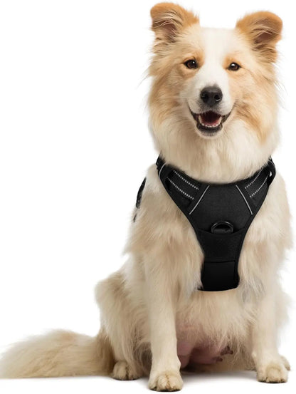 Rabbitgoo Dog Harness No Pull with 2 Leash Clips GLOBEGOU CO.,LTD