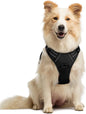 GLOBEGOU CO.,LTD Rabbitgoo Large Dog Harness No Pull Adjustable Soft Padded Vest Reflective Oxford Material Red Plaid Dual Leash Clips - Animals & Pet Supplies > Pet Supplies > Pet Collars & Harnesses Dog