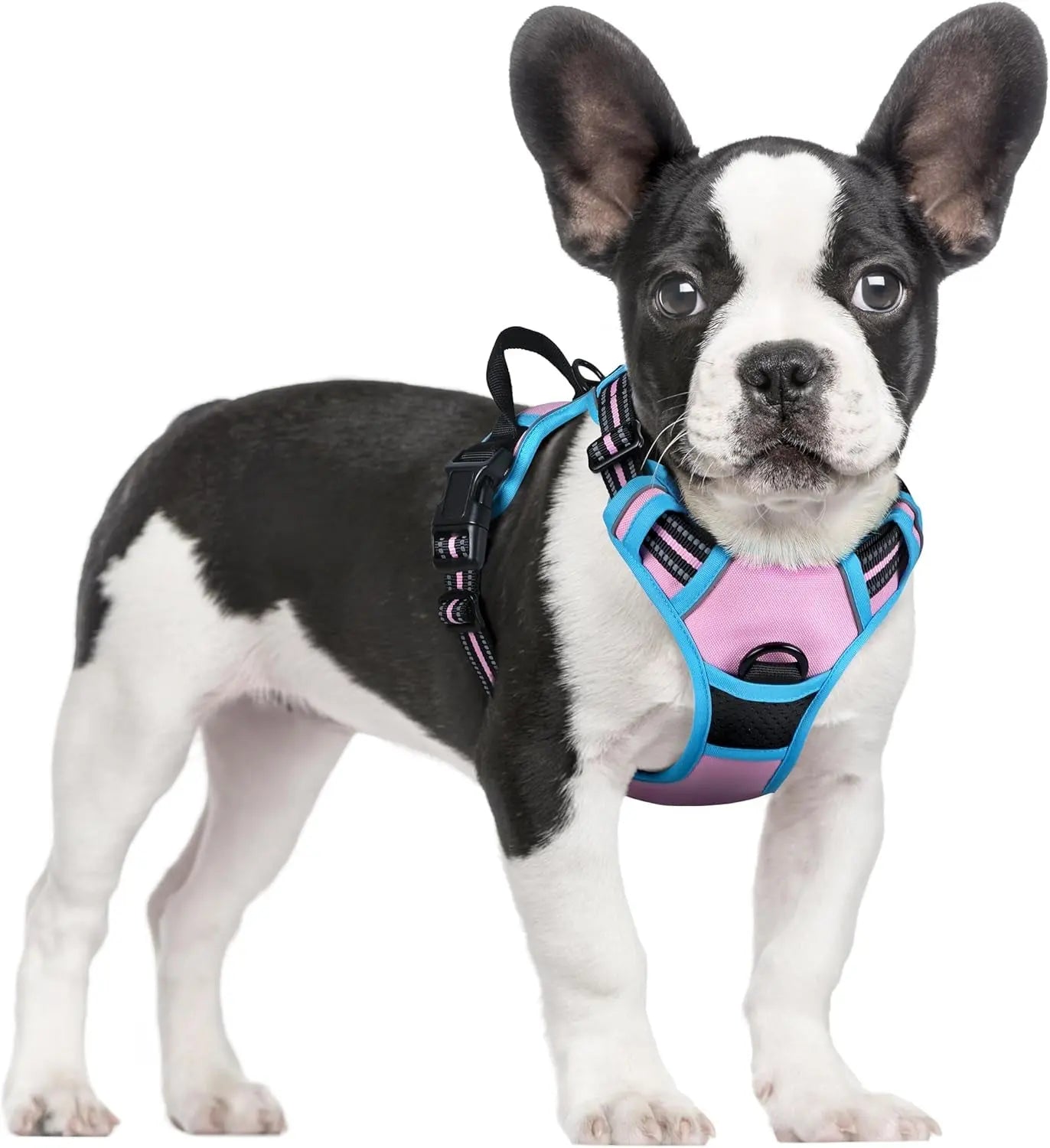GLOBEGOU CO.,LTD Rabbitgoo Large Dog Harness No Pull Adjustable Soft Padded Vest Reflective Oxford Material Red Plaid Dual Leash Clips - Animals & Pet Supplies > Pet Supplies > Pet Collars & Harnesses Dog