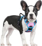 GLOBEGOU CO.,LTD Rabbitgoo Large Dog Harness No Pull Adjustable Soft Padded Vest Reflective Oxford Material Red Plaid Dual Leash Clips - Animals & Pet Supplies > Pet Supplies > Pet Collars & Harnesses Dog