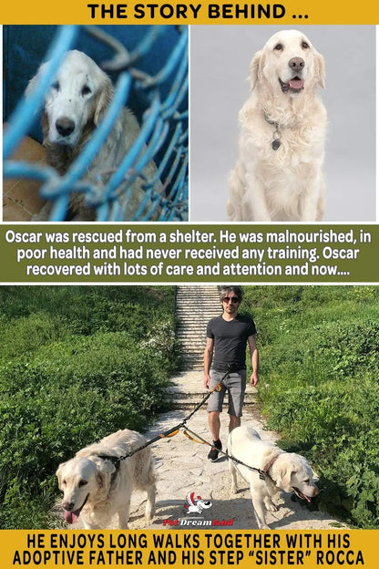 Pet Dreamland Pet Dreamland Exquisite Hands Free Double Dog Leash for Two Dogs With Tangle Free Swivel - Animals & Pet Supplies > Pet Supplies > Pet Leashes > Double Pet Leashes Dog