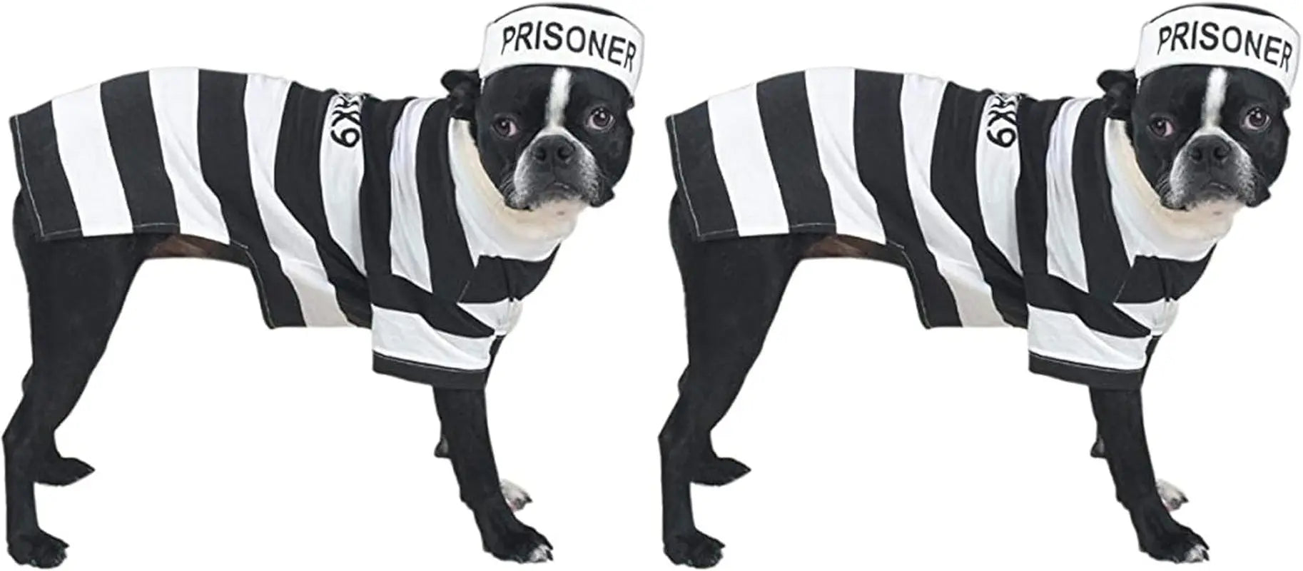 PetEdge Dealer Services* Stylish Prison Pooch Costume For Medium Dogs Black And White Halloween Outfit For Trick Or Treating - Animals & Pet Supplies > Pet Supplies > Pet Apparel > Pet Costumes Dog