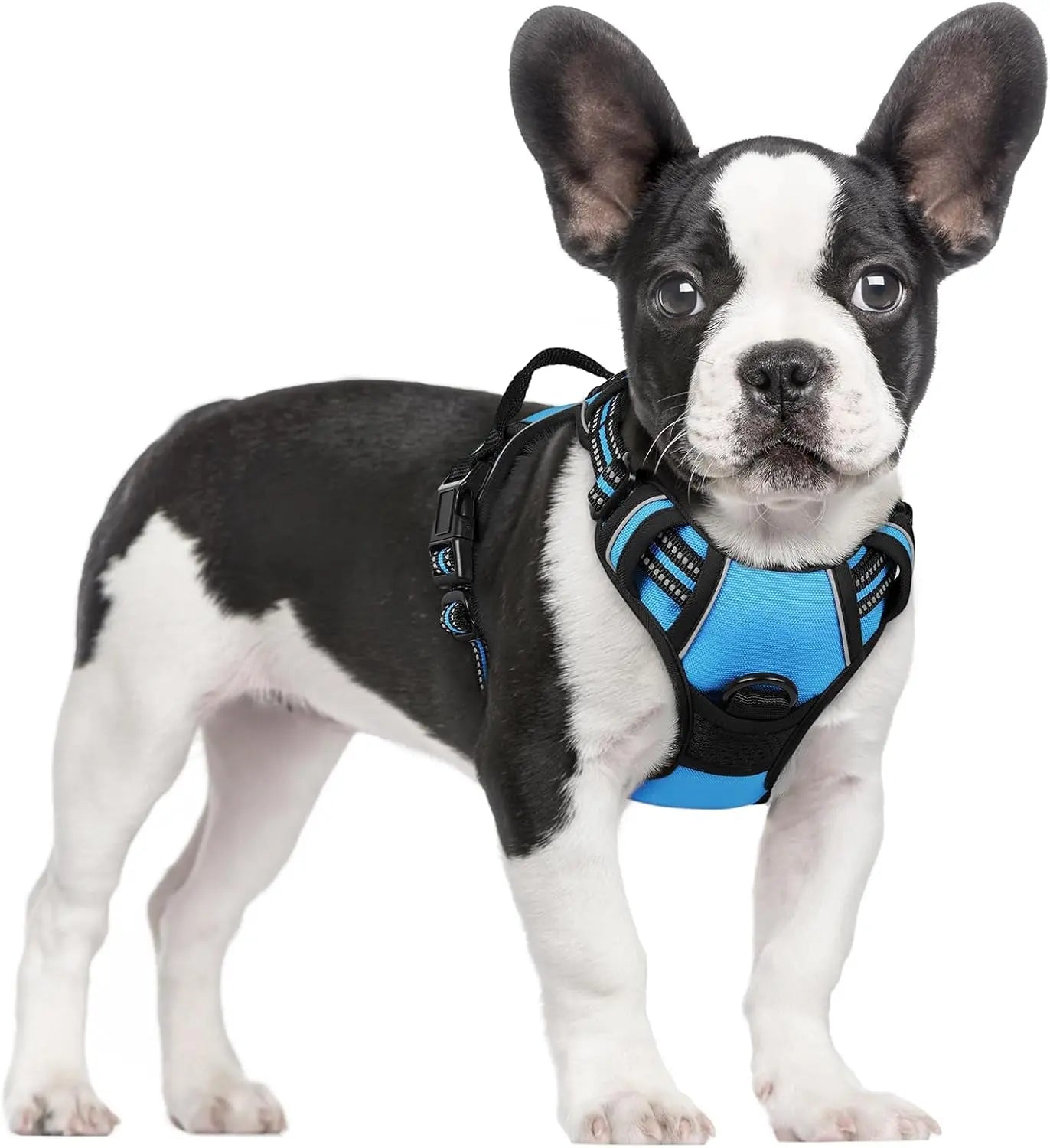 GLOBEGOU CO.,LTD Rabbitgoo Large Dog Harness No Pull Adjustable Soft Padded Vest Reflective Oxford Material Red Plaid Dual Leash Clips - Animals & Pet Supplies > Pet Supplies > Pet Collars & Harnesses Dog