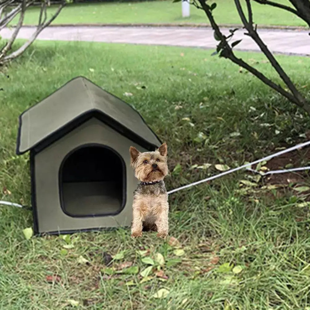The All-Weather Pet Oasis - Your Furry Friend's Outdoor Sanctuary Dog Hugs Cat