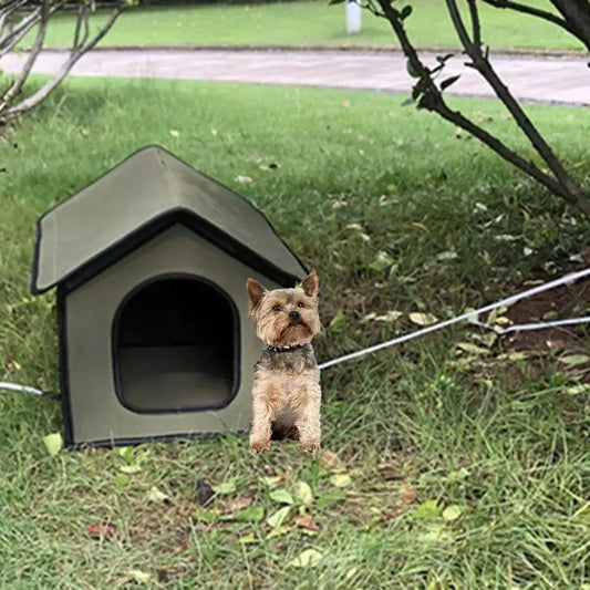 The All-Weather Pet Oasis - Your Furry Friend's Outdoor Sanctuary Dog Hugs Cat
