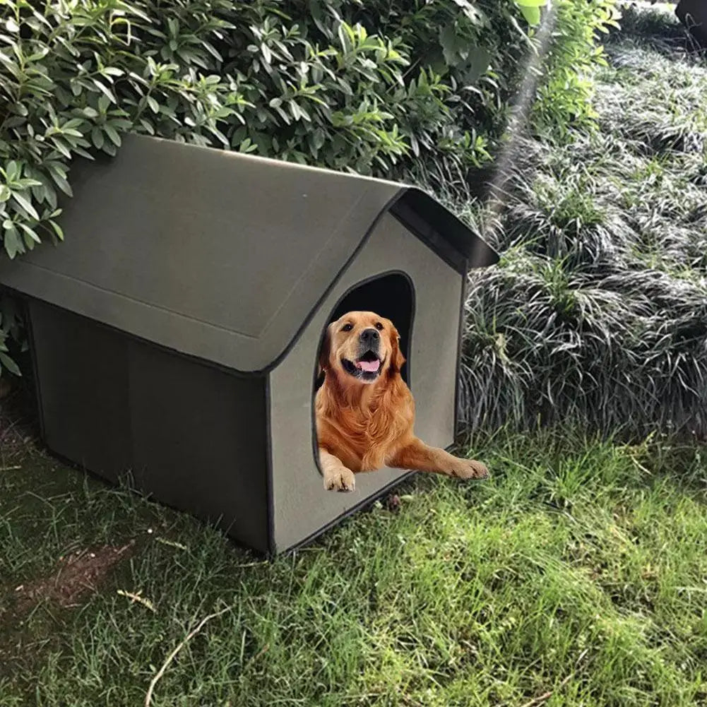 The All-Weather Pet Oasis - Your Furry Friend's Outdoor Sanctuary Dog Hugs Cat