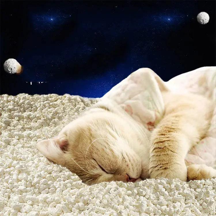 Sleeping cat on Tofu Fresh Scented Space Litter with space-themed background