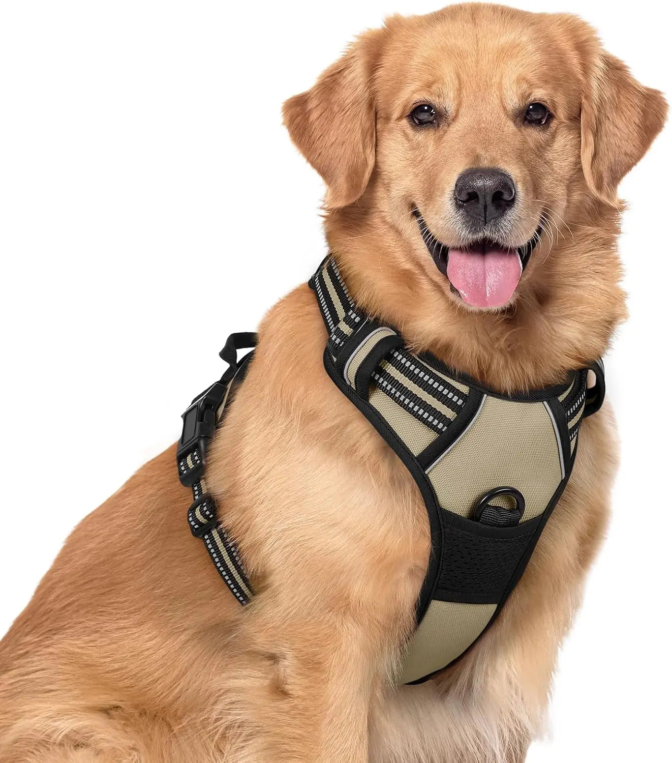 Rabbitgoo Dog Harness No Pull with 2 Leash Clips GLOBEGOU CO.,LTD