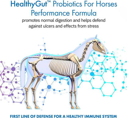 Equa Holistics LLC. Healthygut Probiotics For Horses Performance Formula Digestive Health Support 90 Day Supply - Sporting Goods > Outdoor Recreation > Equestrian > Horse Care > Horse Vitamins & Supplements Equine