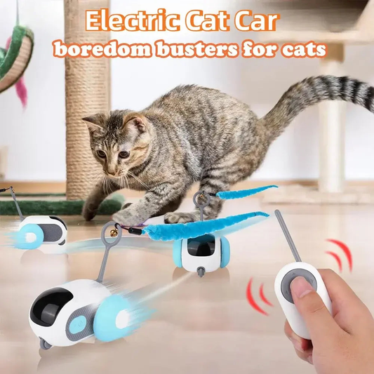 Remote-controlled rolling chase car toy entertaining playful cat indoors