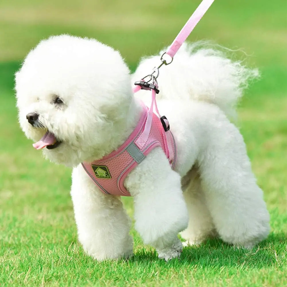 Explore the Outdoors with the FEimaX No Pull Adjustable Dog Harness and Leash Set - Breathable, Reflective, and Perfect for Small to Medium Pet Adventures! FEimaX