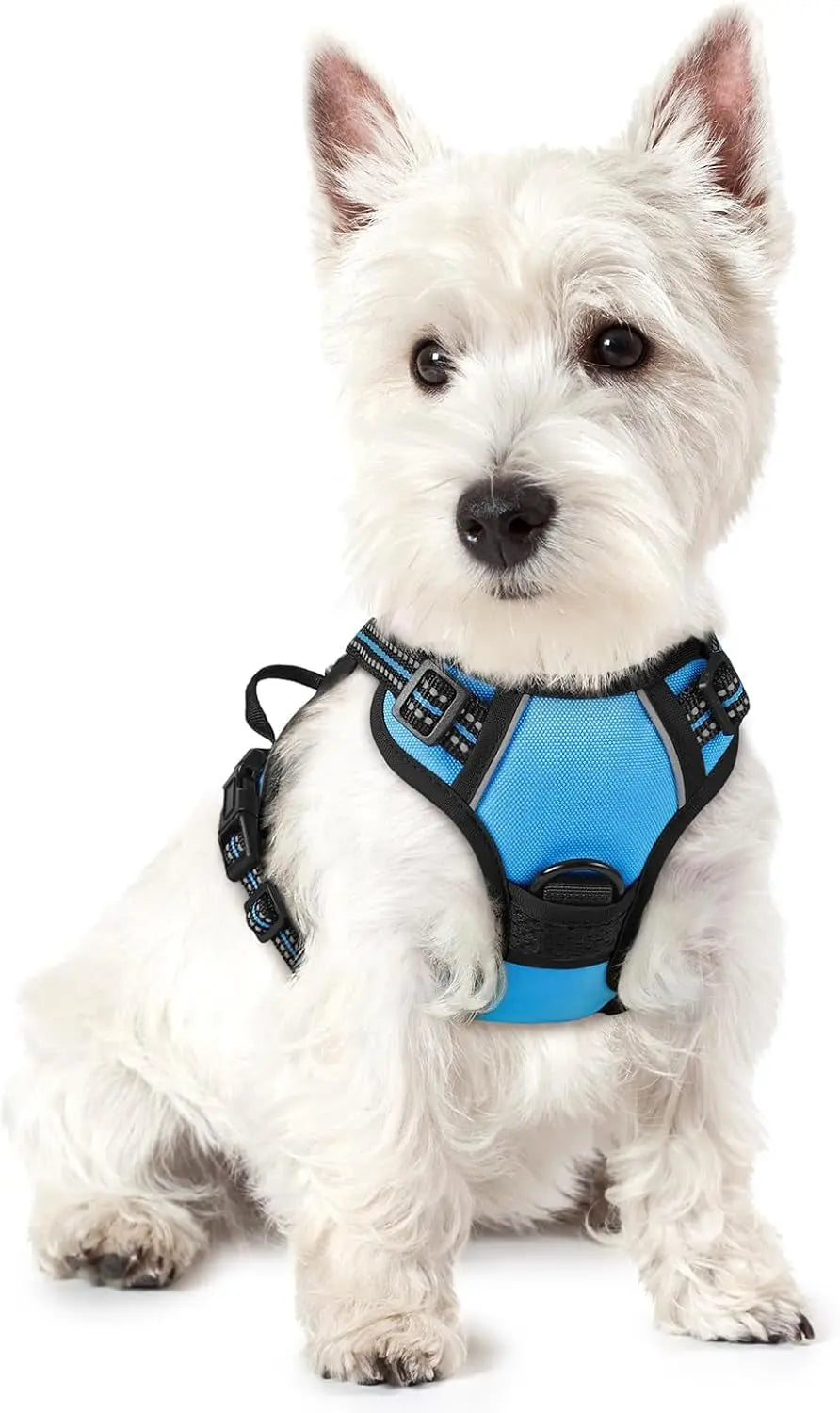Rabbitgoo Dog Harness No Pull with 2 Leash Clips GLOBEGOU CO.,LTD