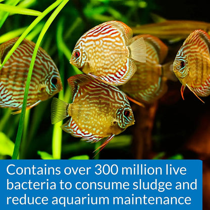 Mars Fishcare API Stress Zyme Aquarium Cleaning Solution 16 Oz Bottle Keeps Tank Crystal Clear and Fish Healthy - Animals & Pet Supplies > Pet Supplies > Fish & Aquatic Supplies > Aquarium Water Treatments > Water Conditioners