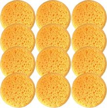 HUABIAO Box Of 12 Coarse Hole Tack Sponges For Heavy Duty Cleaning And Durable Polyurethane Construction - Sporting Goods > Outdoor Recreation > Equestrian > Horse Care Equine