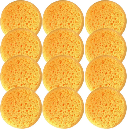 HUABIAO Box Of 12 Coarse Hole Tack Sponges For Heavy Duty Cleaning And Durable Polyurethane Construction - Sporting Goods > Outdoor Recreation > Equestrian > Horse Care Equine