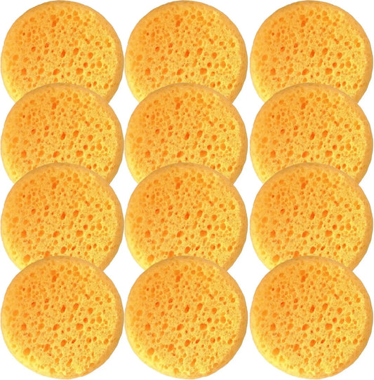 Box of 12 Coarse Hole Tack Sponges HUABIAO
