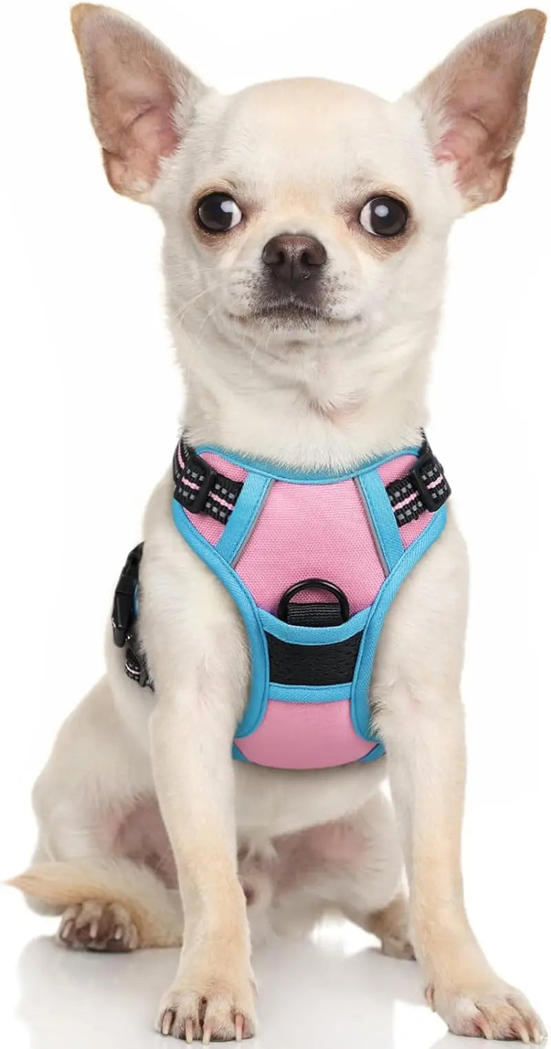 GLOBEGOU CO.,LTD Rabbitgoo Large Dog Harness No Pull Adjustable Soft Padded Vest Reflective Oxford Material Red Plaid Dual Leash Clips - Animals & Pet Supplies > Pet Supplies > Pet Collars & Harnesses Dog